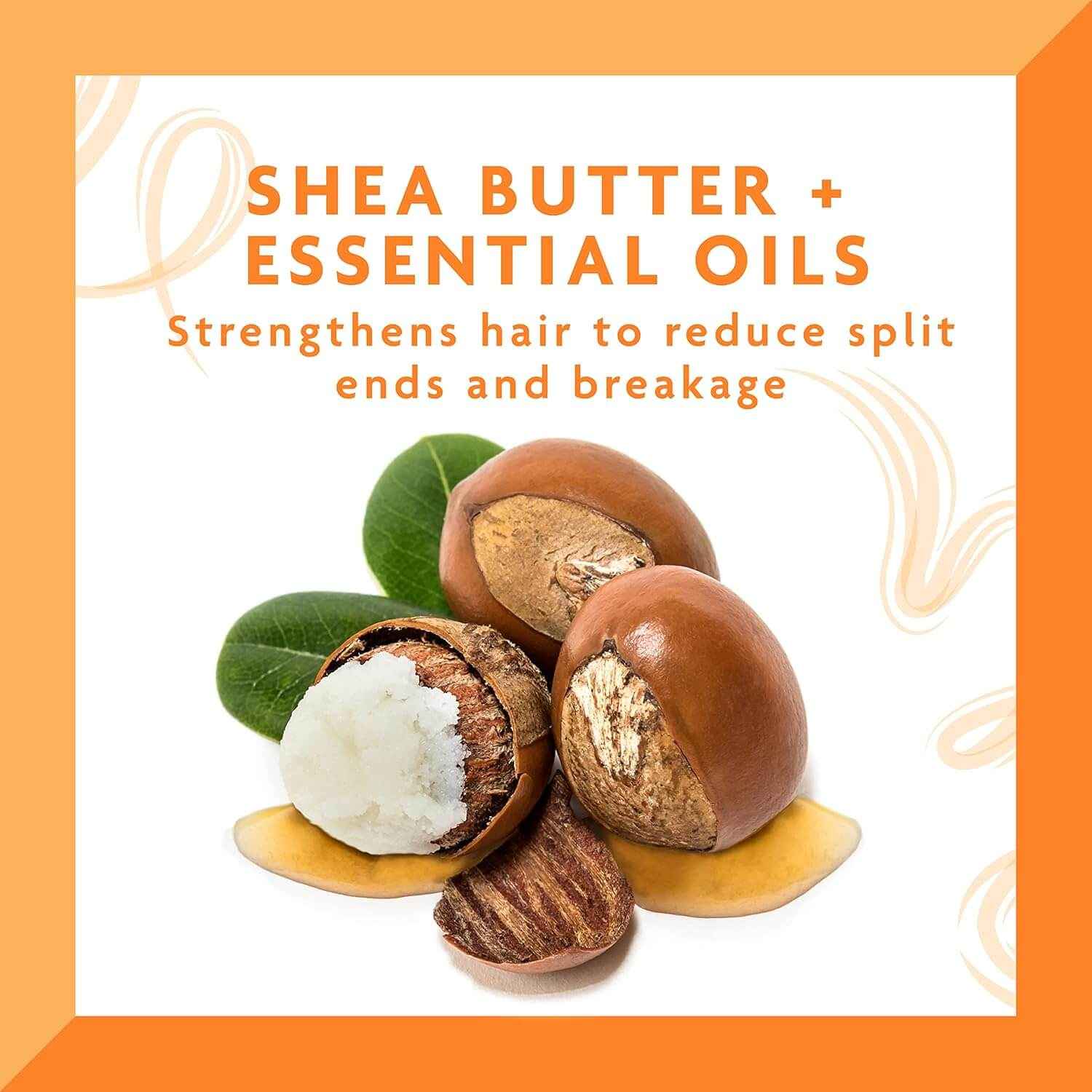 CANTU Shea Butter Daily Oil Moisturizer (13.5oz)
