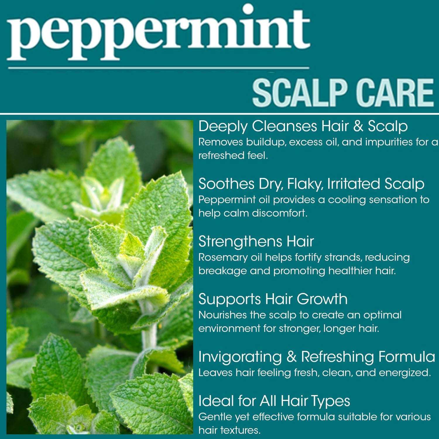 Difeel Peppermint Scalp Care Shampoo (12oz) provides refreshing scalp care and supports healthy hair growth.